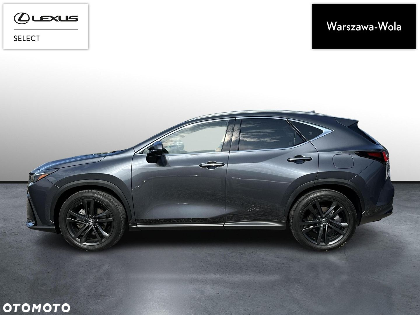 Lexus NX - 4