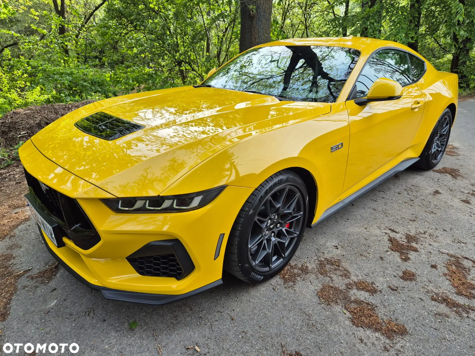 Ford Mustang Fastback 5.0 Ti-VCT V8 GT - 12
