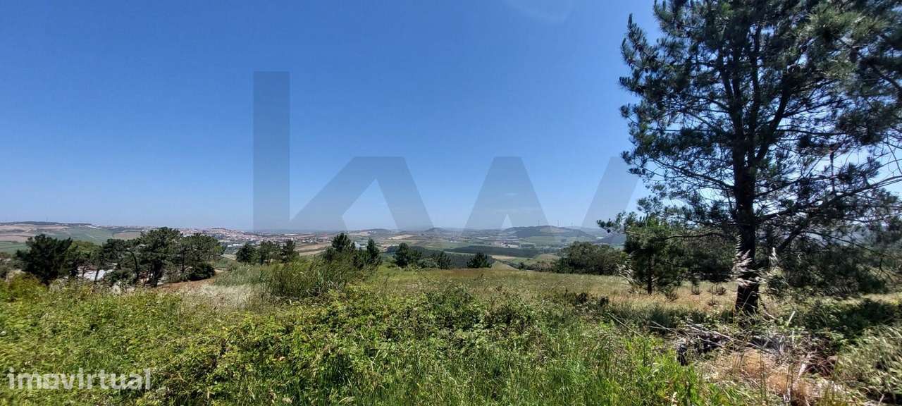 TERRENO COM VISTA MAR - LAGOA - SANTO ISIDORO - Grande imagem: 5/19
