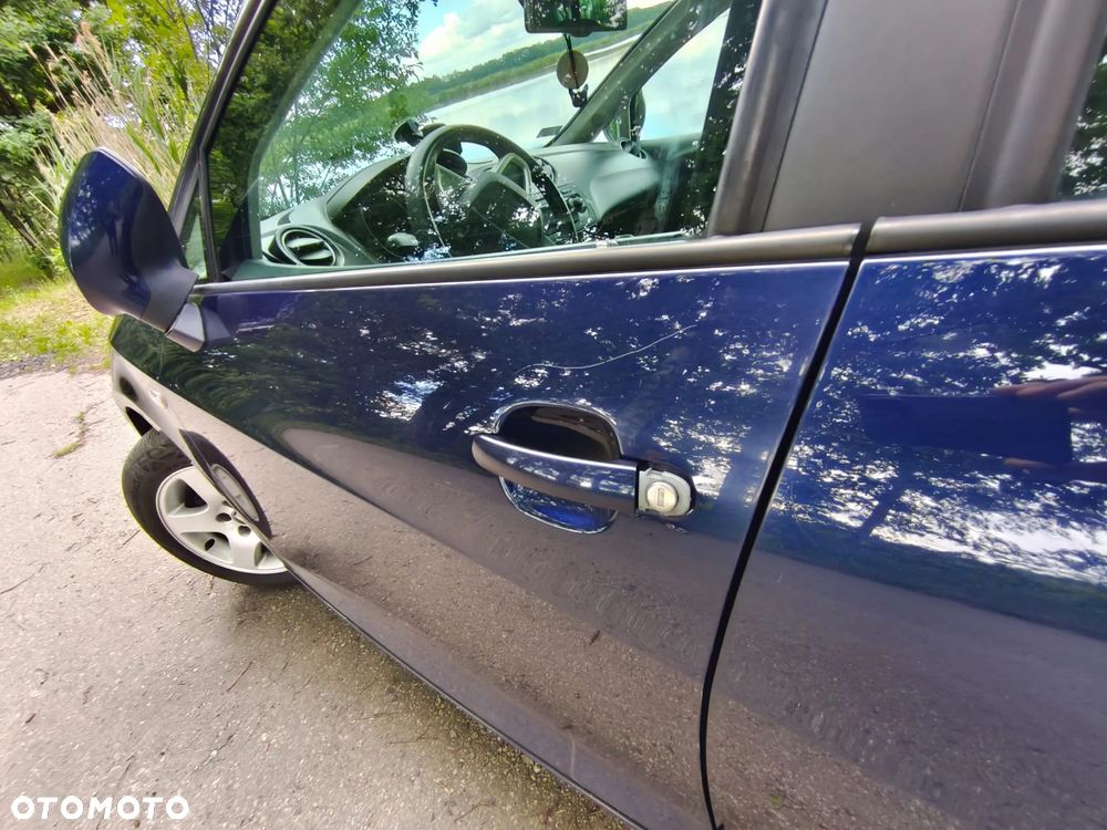 Seat Ibiza - 10