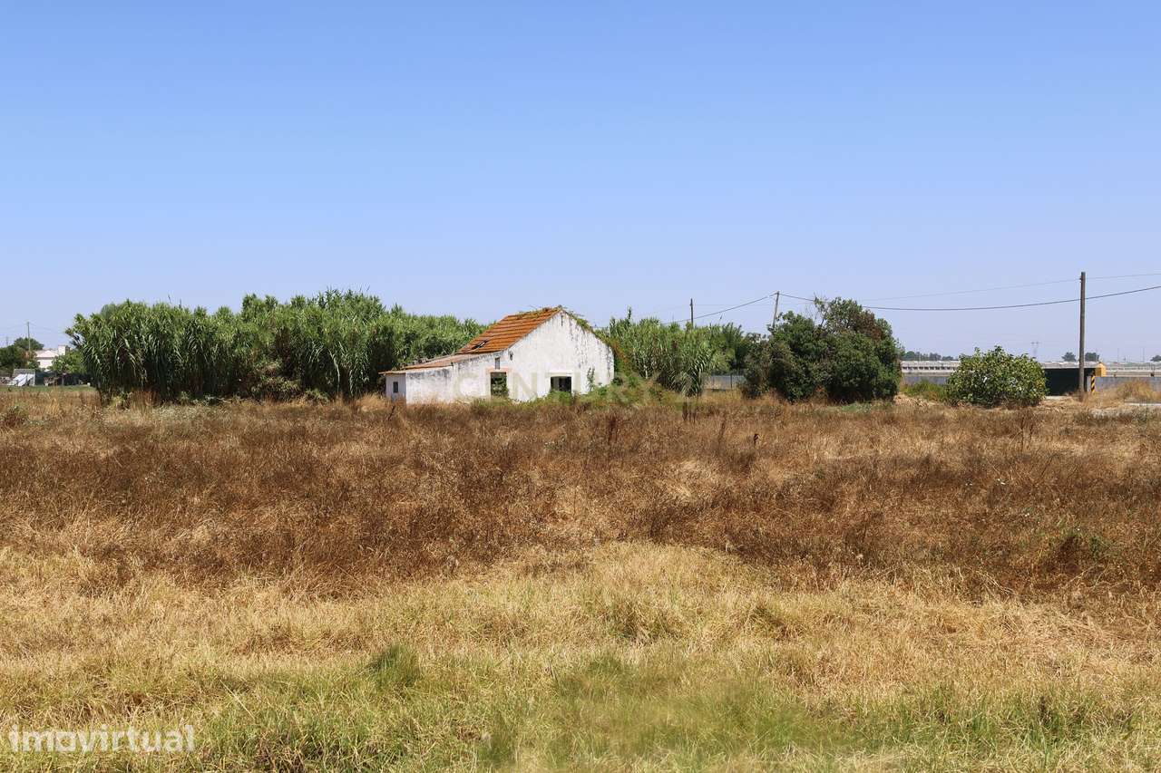 Terreno com casa para recuperação - Grande imagem: 4/27