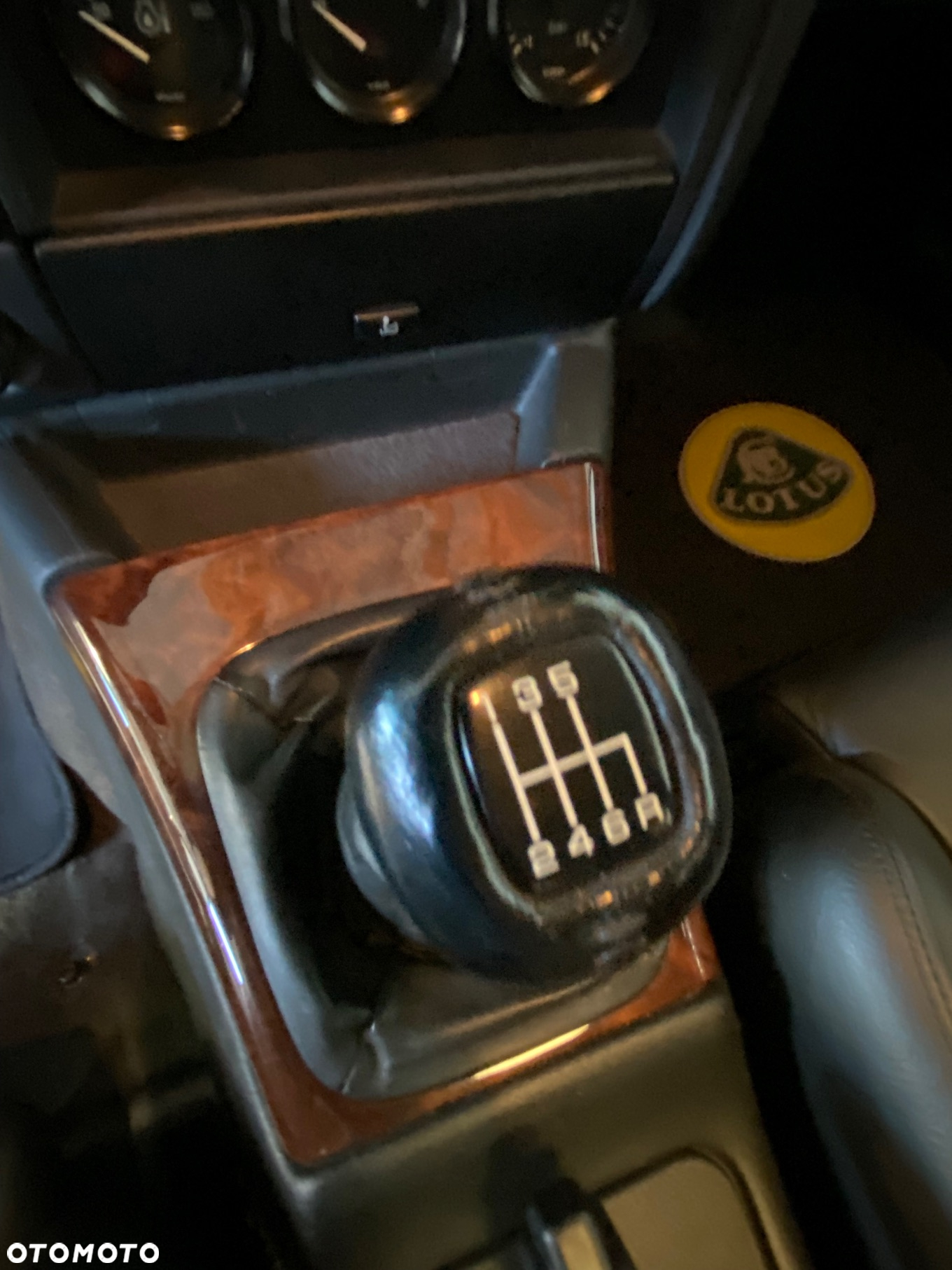 Lotus Inny - 22