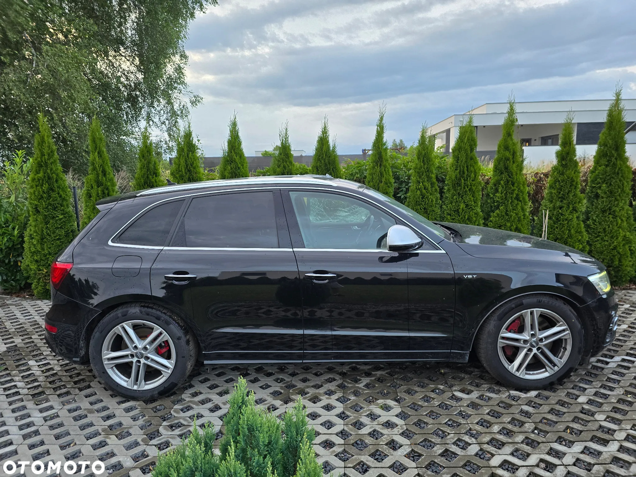 Audi SQ5 3.0 TDI Plus Quattro Tiptr - 2