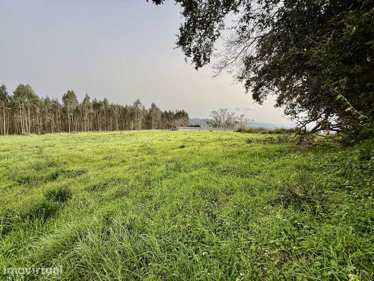 Terreno urbano - nos arredores da cidade de Caldas da Rainha - Grande imagem: 5/9