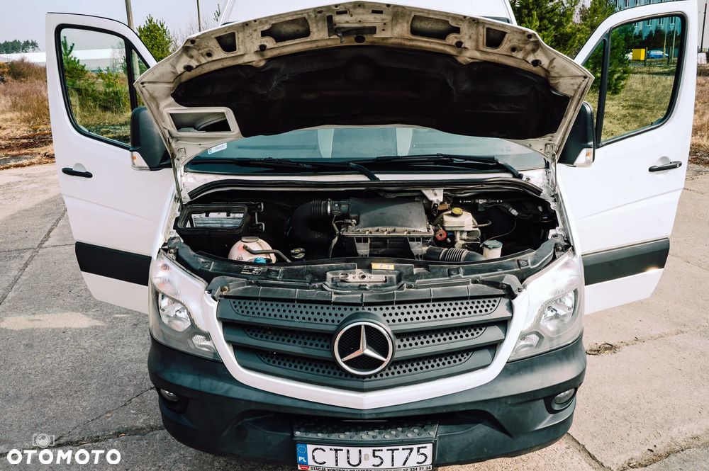 Mercedes-Benz 519 - 35