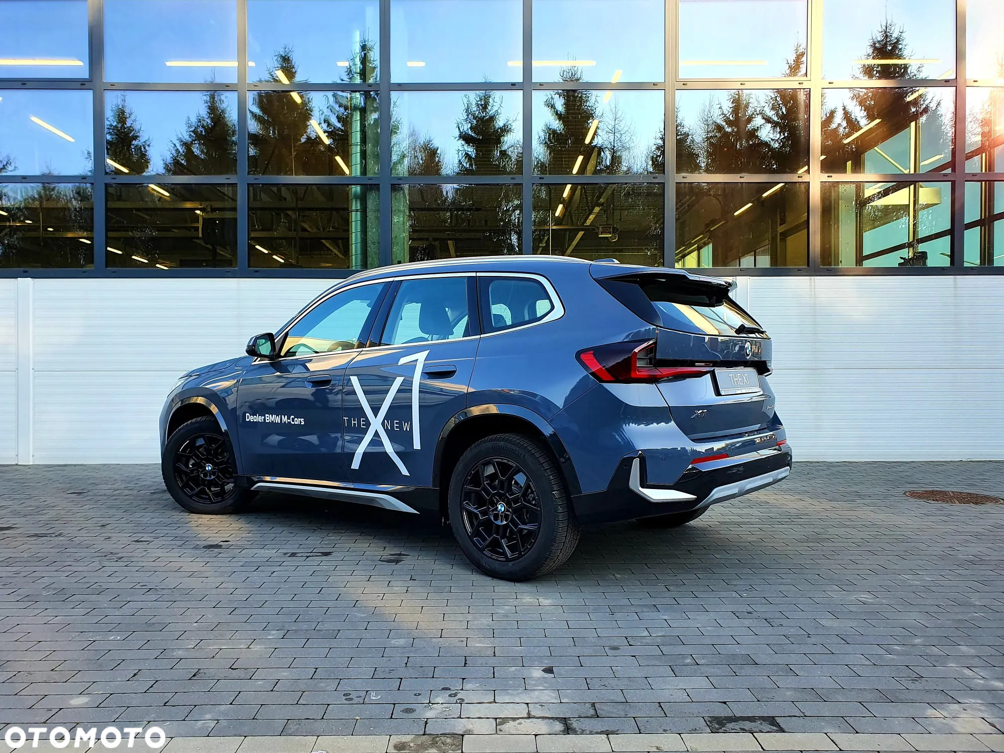 BMW X1 - 6