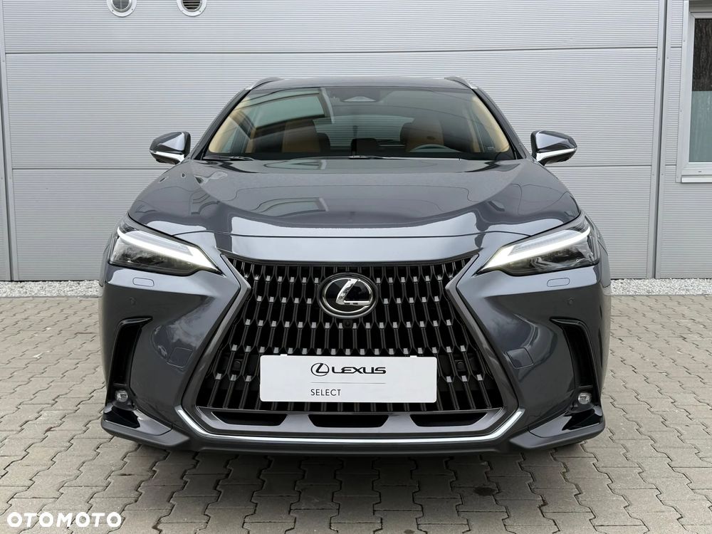 Lexus NX 350h Prestige AWD - 7