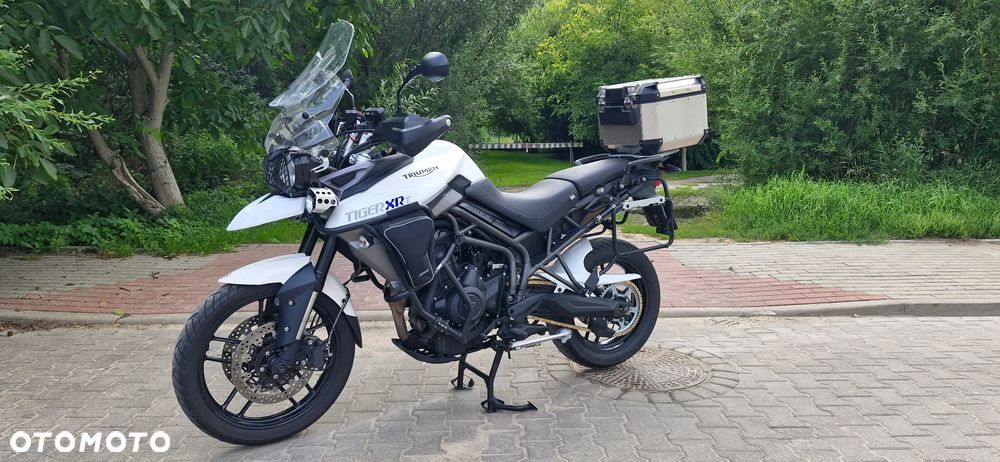 Triumph Tiger - 1