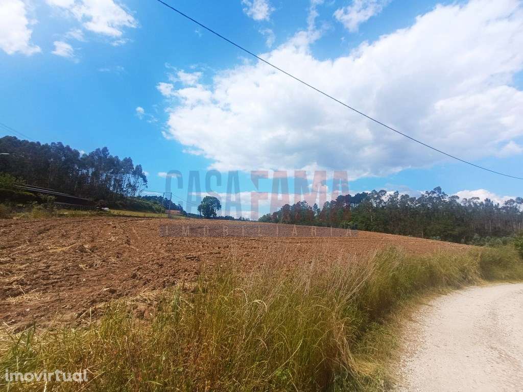 Terreno em Vilarinho das Cambas - Vila Nova de Famalicão - Grande imagem: 3/7