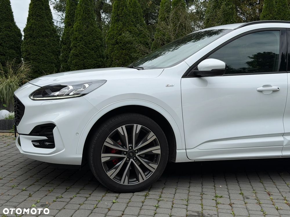Ford Kuga 2.5 Duratec FHEV 4x4 ST-LINE X - 5