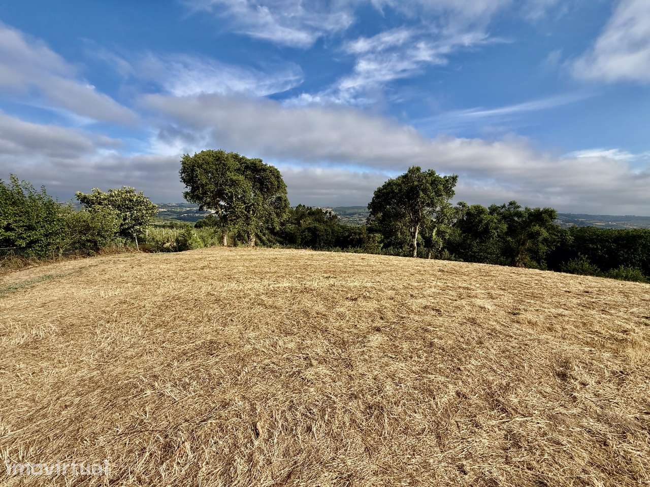 Terreno com vista panorâmica de campo - a 15 min São Martinho do Porto - Grande imagem: 3/9