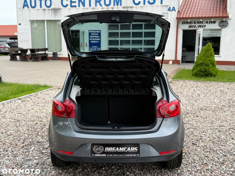 Seat Ibiza - 30