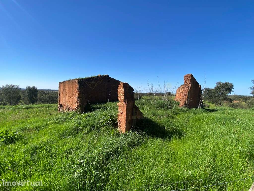 Quinta no Alentejo, com plantação de sobreiros, tudo vedado e com u... - Grande imagem: 5/60