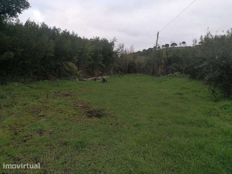 Terreno 12ha misto com possibilidade de turismo rural Bensafrim - Grande imagem: 4/8