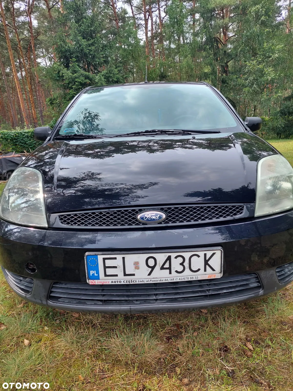 Ford Fiesta - 3