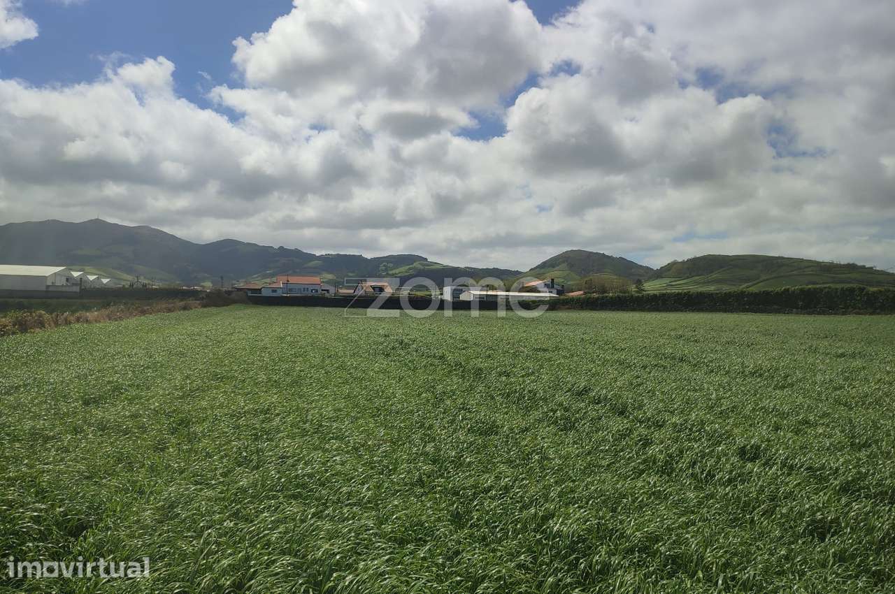 Terreno Agrícola Plano com 6.480 m² – Ribeira Seca, Ribeira Grande - Grande imagem: 4/10