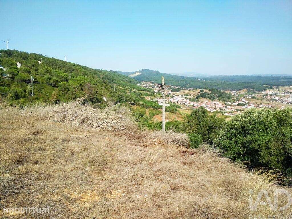 Terreno para construção em Rio Maior - Grande imagem: 4/22