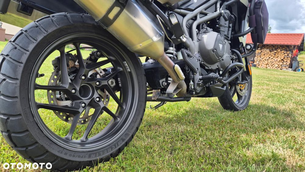 Triumph Tiger - 13