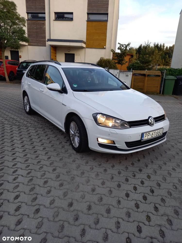 Volkswagen Golf 1.6 BlueTDI Cup - 2