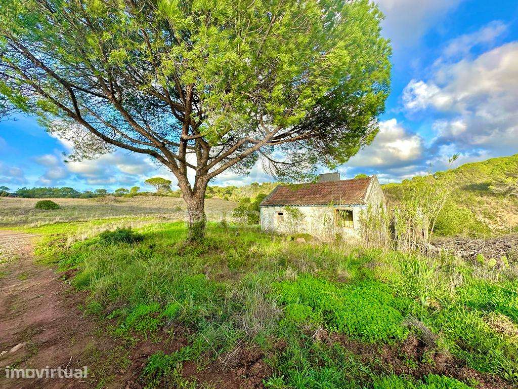 Herdade em Melides, vista mar - Grande imagem: 4/21