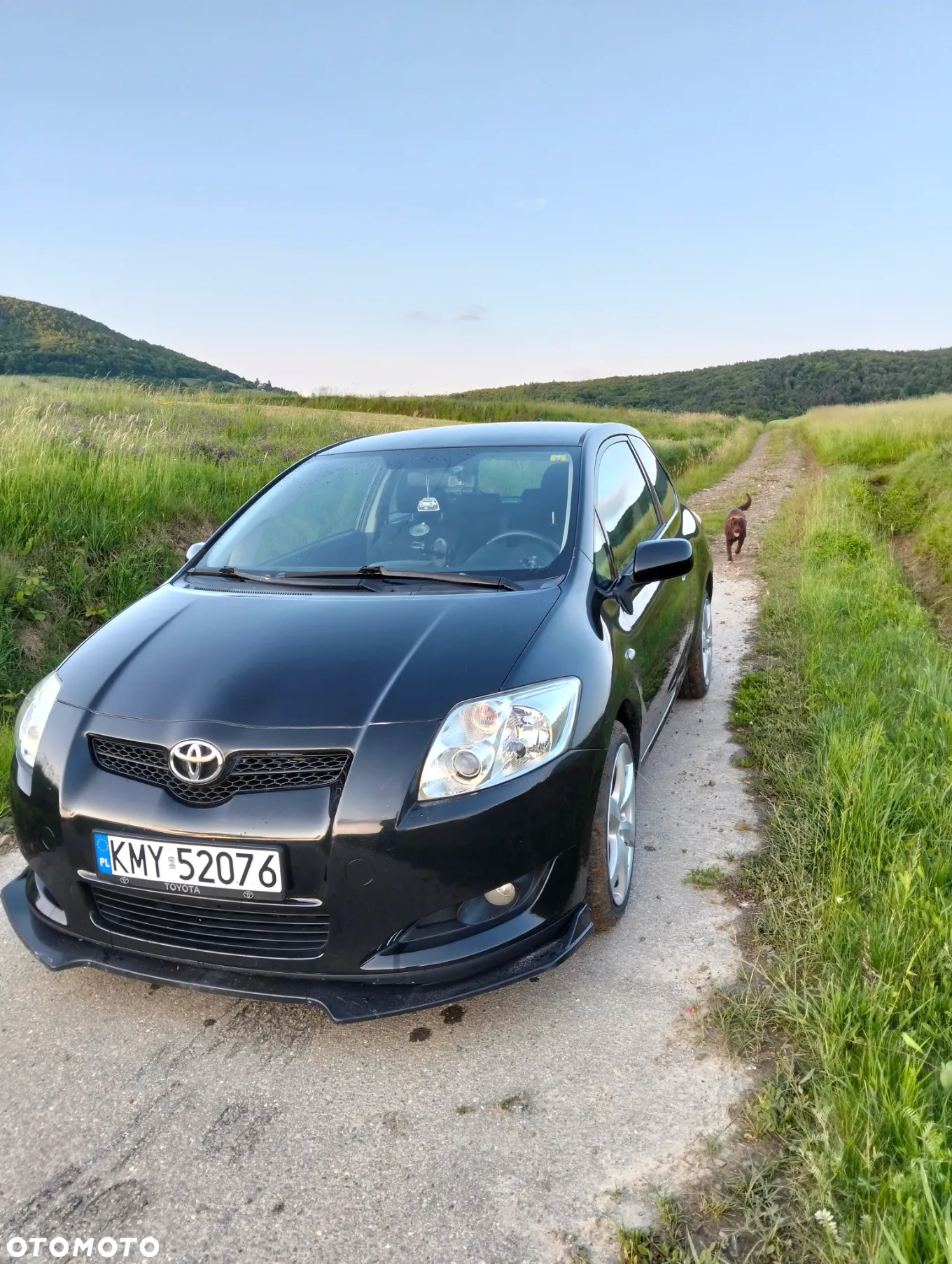 Toyota Auris 1.6 VVT-i Terra - 6
