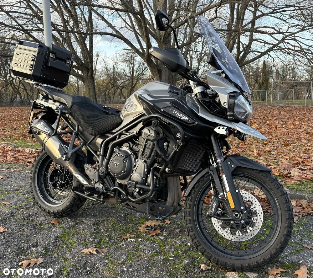 Triumph Tiger - 4