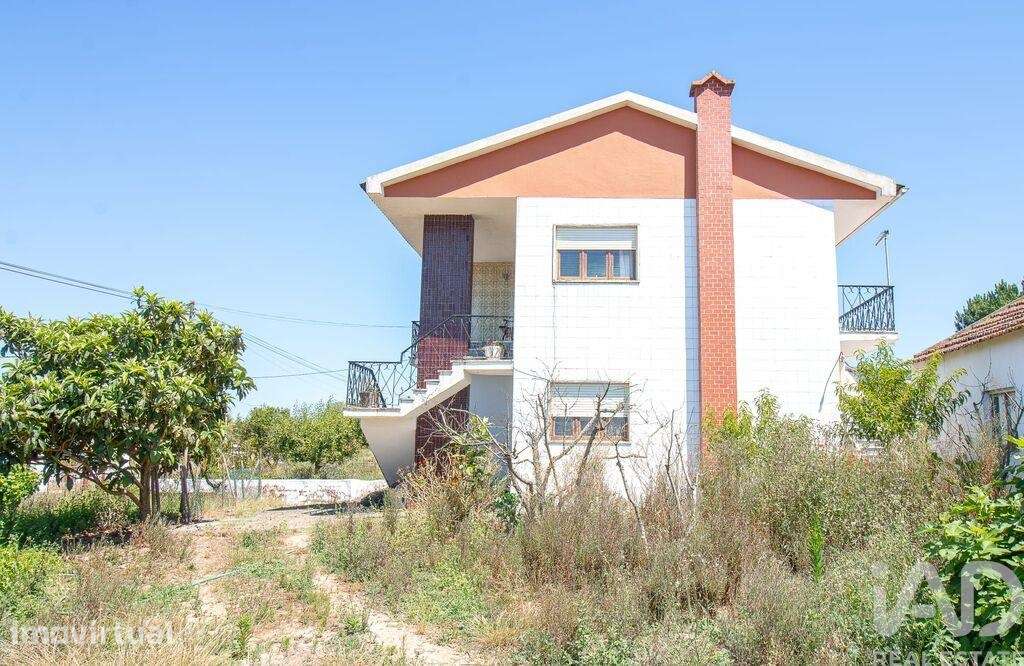 Casa / Villa T3 em Lamas e Cercal de 430 m2 - Grande imagem: 5/30