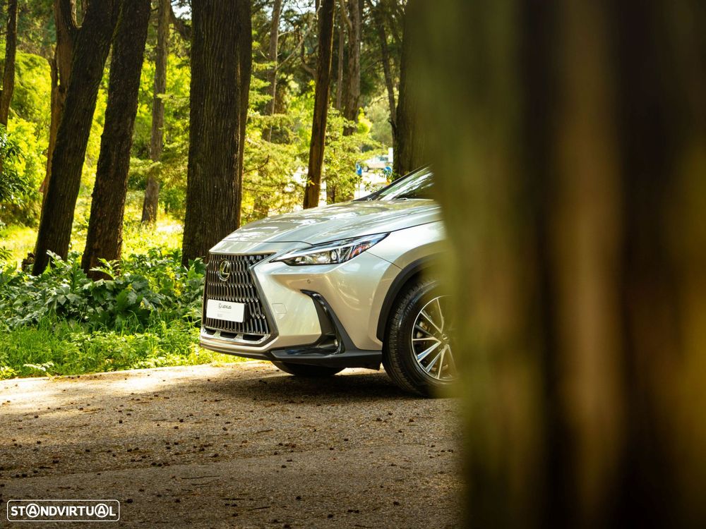 Lexus NX 350h Executive+ - 19