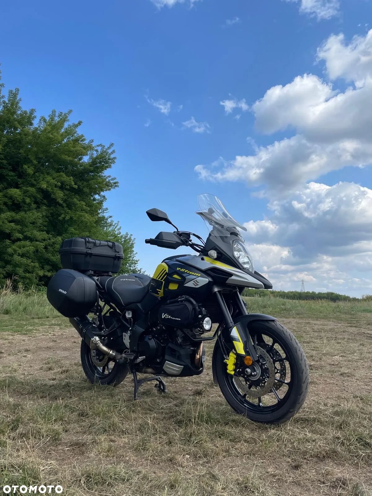 Suzuki DL