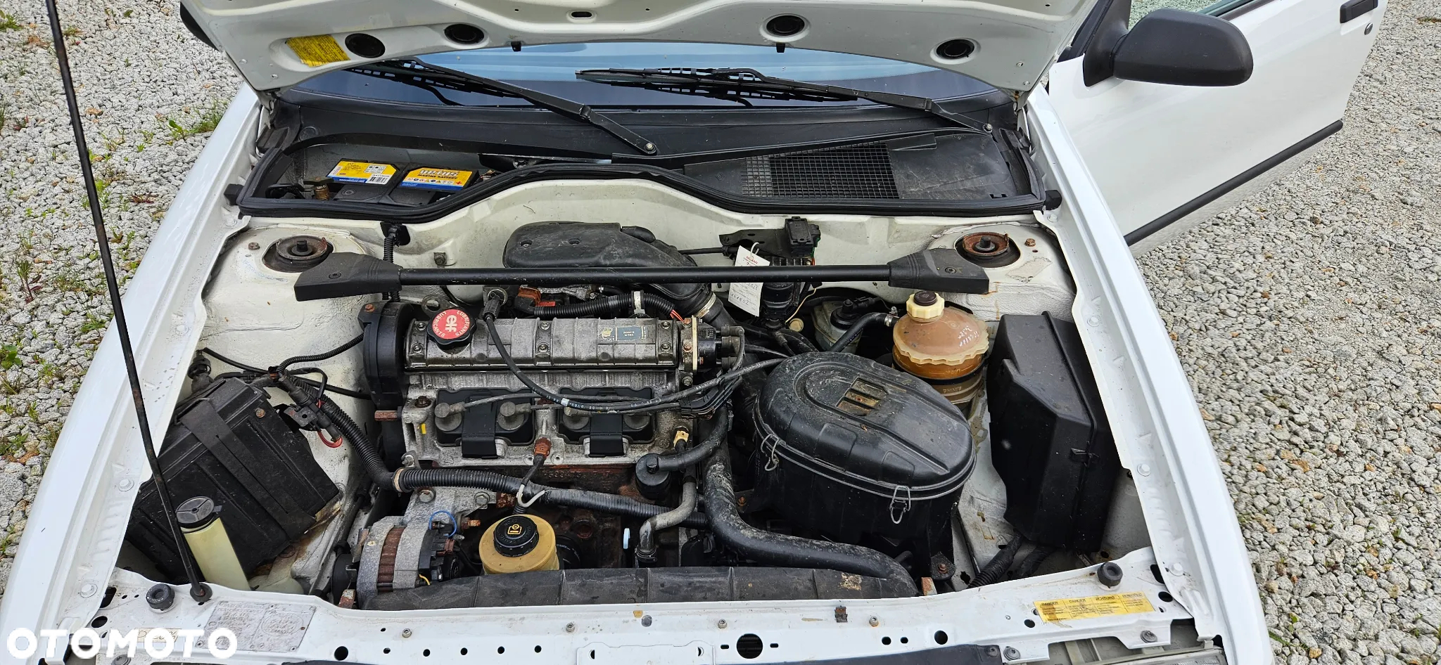 Renault 19 1.8 - 35