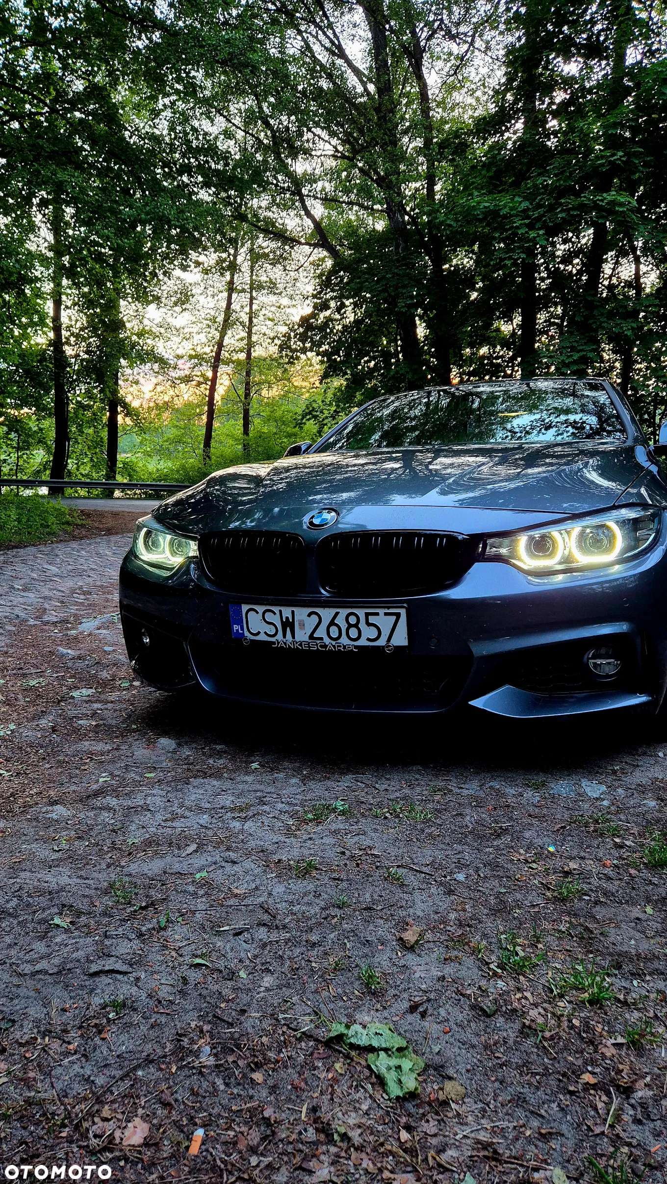 BMW Seria 4 430i - 2