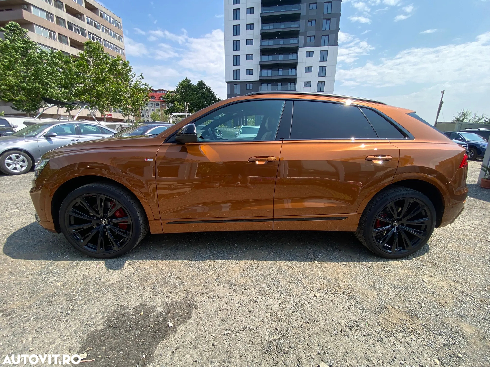 Audi Q8 3.0 50 TDI quattro Tiptronic MHEV - 8