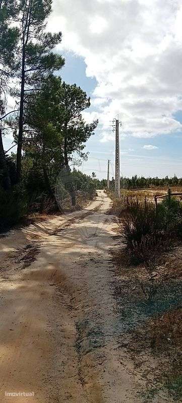 Terreno  para venda - Grande imagem: 4/24