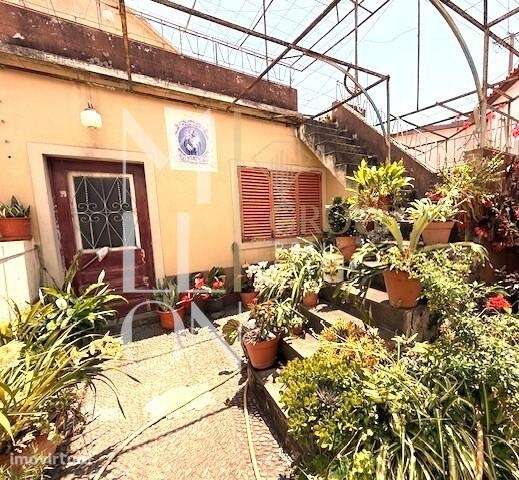 2 Moradias na Calheta com jardim, terreno e vista mar. - Grande imagem: 5/28