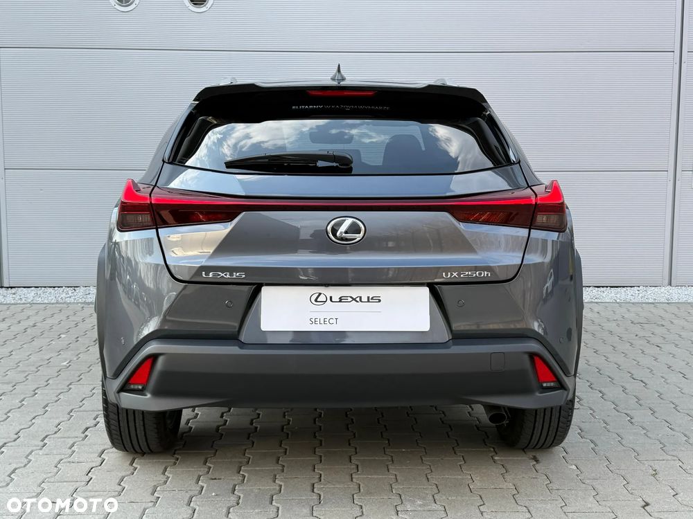 Lexus UX 250h GPF Business 2WD - 13