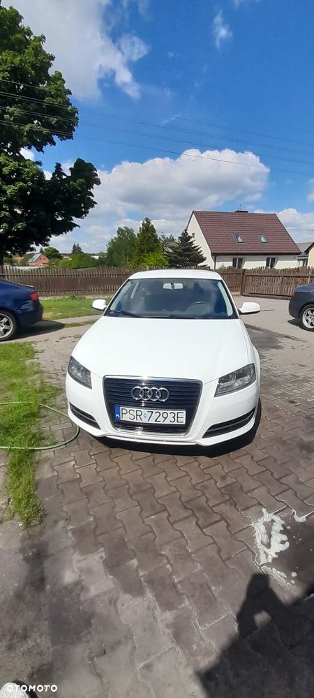 Audi A3 1.6 TDI DPF Ambition - 10