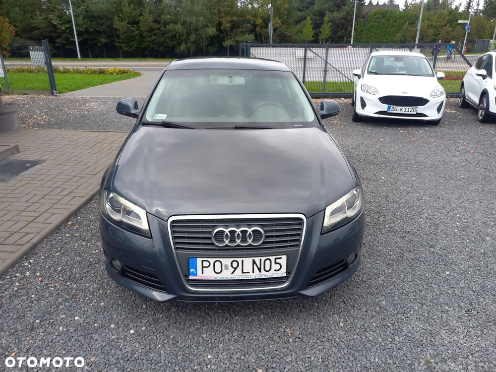 Audi A3 3-drzwiowe 1.9 TDI DPF Ambition - 11