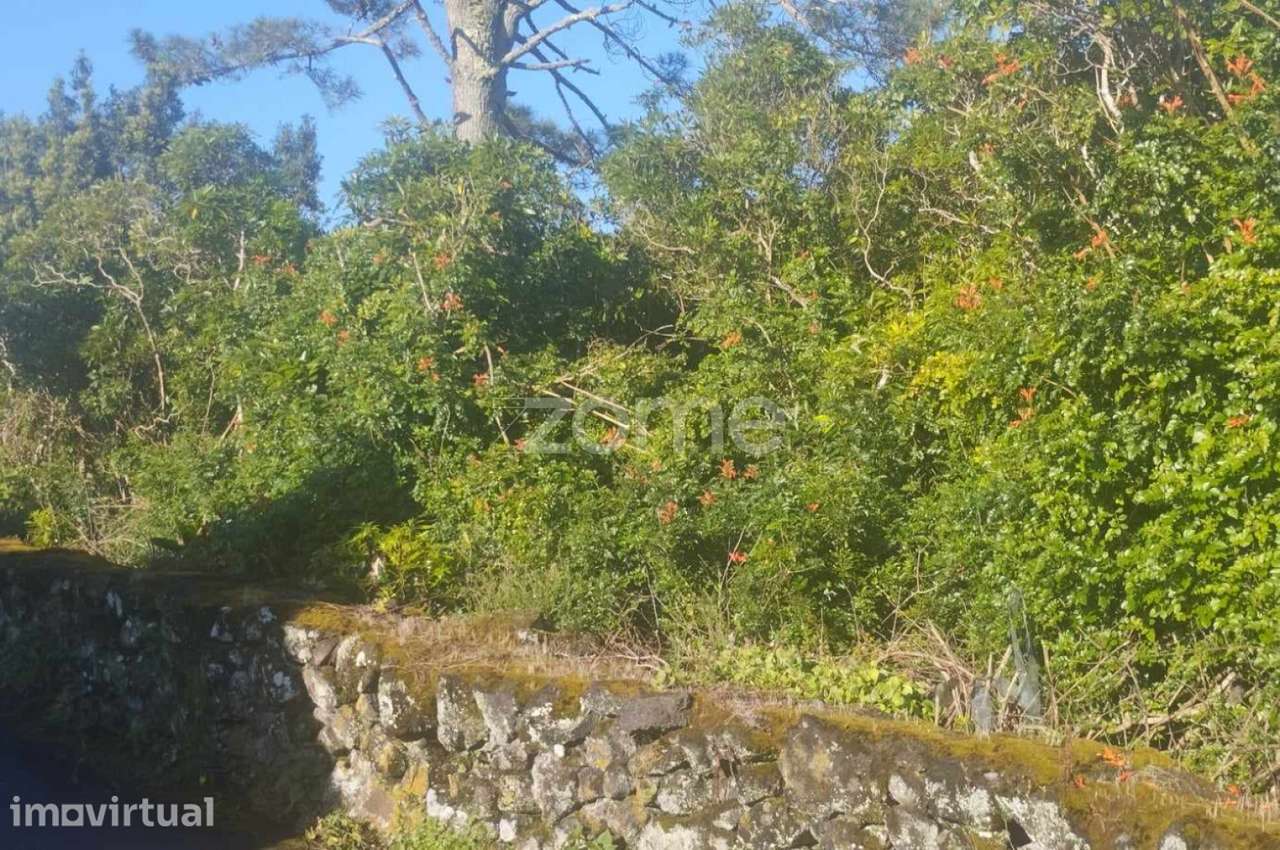 Terreno Urbano Bandeiras/ Pico - Grande imagem: 5/9