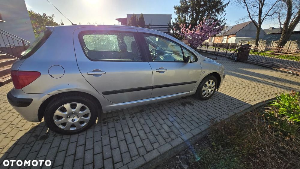 Peugeot 307 - 4
