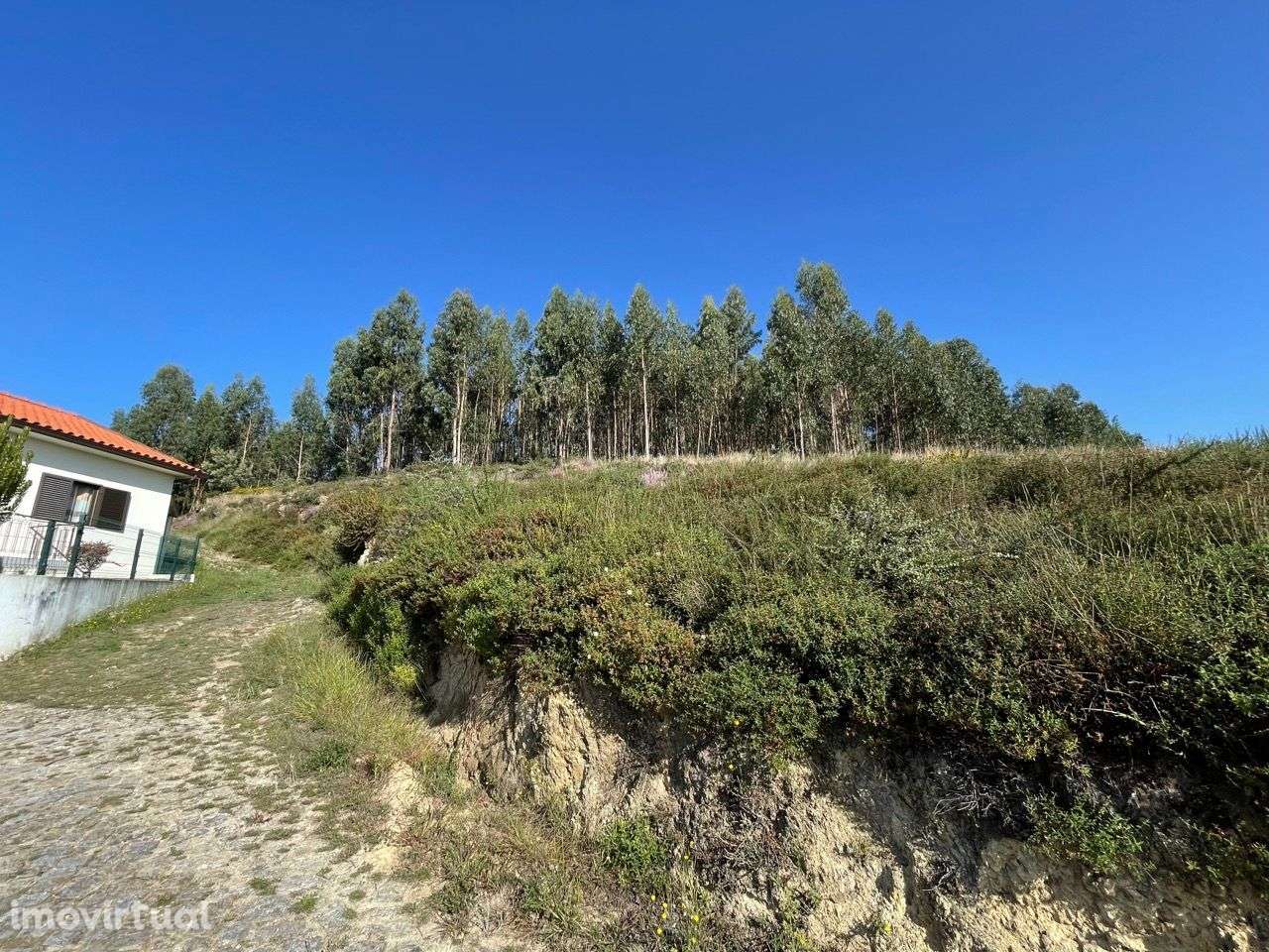 Terreno Localizado em Varziela - 75 000m2 - Grande imagem: 3/12