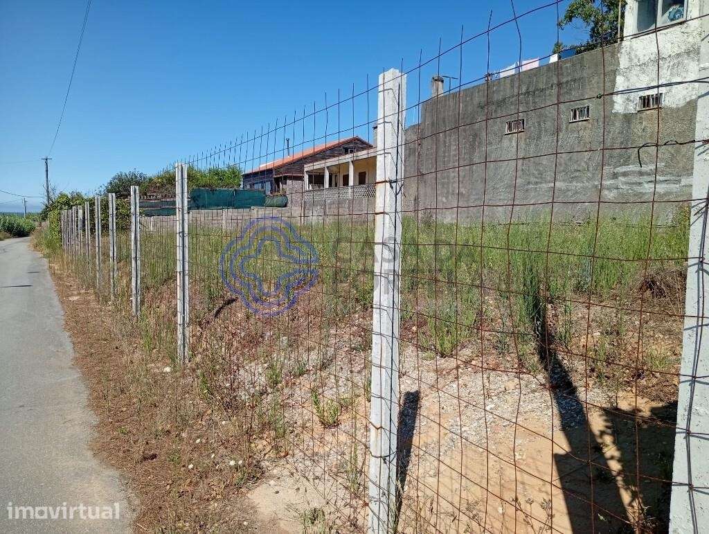 Terreno Premium | 470 m2 | A 250 metros da Praia da Madalena | Vila No - Grande imagem: 5/13