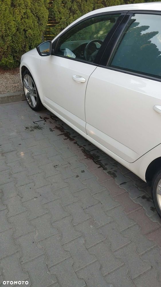 Skoda Octavia 2.0 TDI RS EU6 - 14
