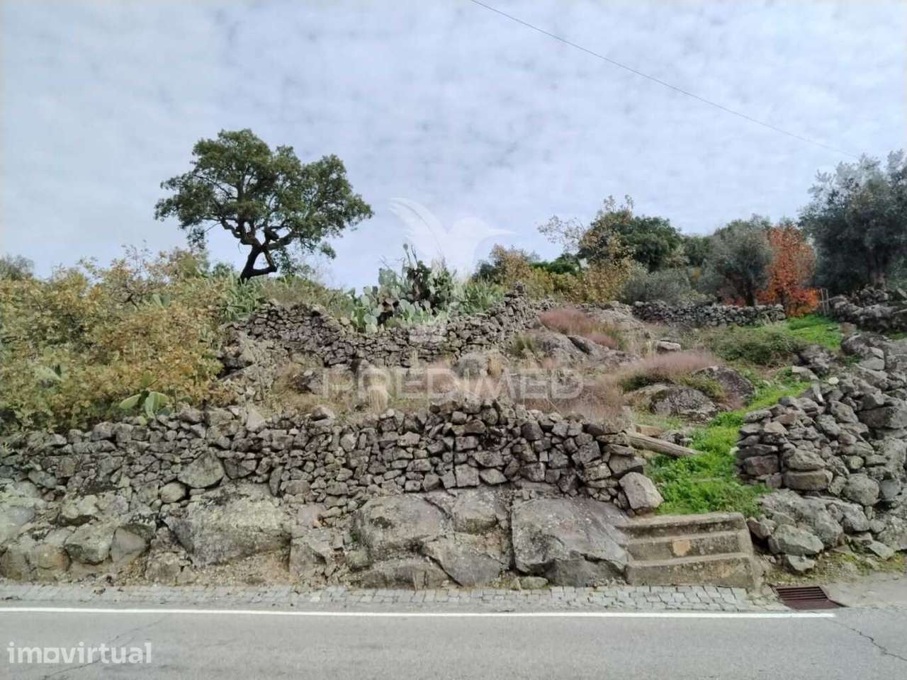Terreno Carreiras - Grande imagem: 2/10