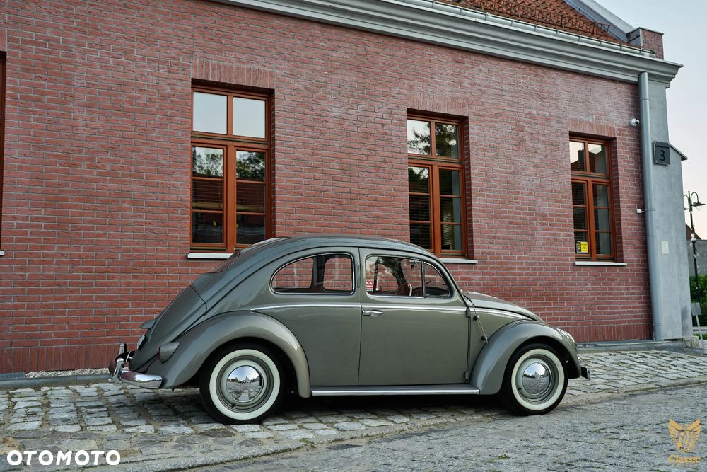 Volkswagen Garbus - 2