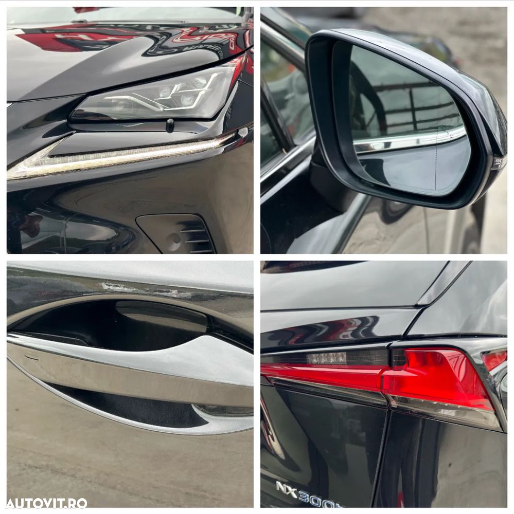 Lexus Seria NX ver-300h-awd-luxury - 10
