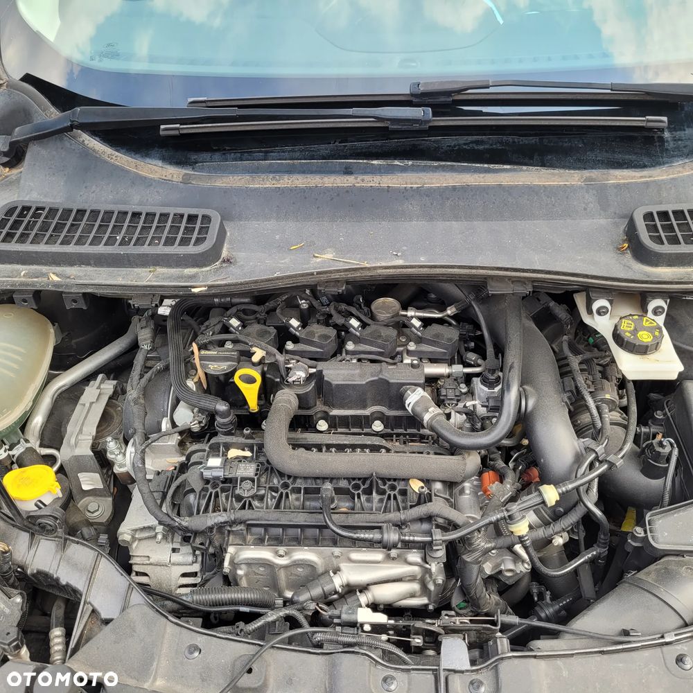 Ford Kuga 1.5 EcoBoost 2x4 Vignale - 6