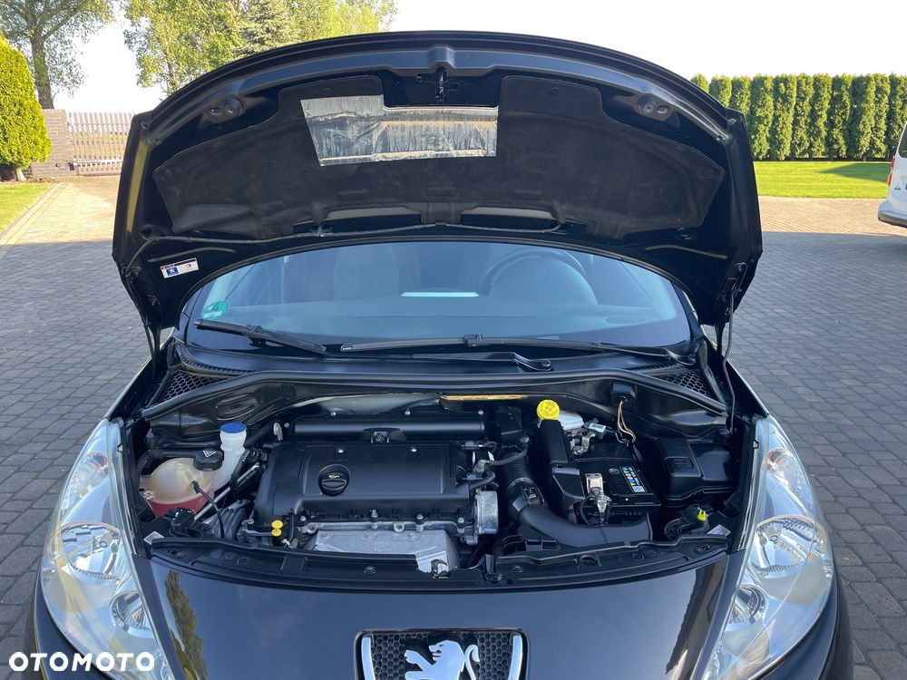 Peugeot 207 - 20