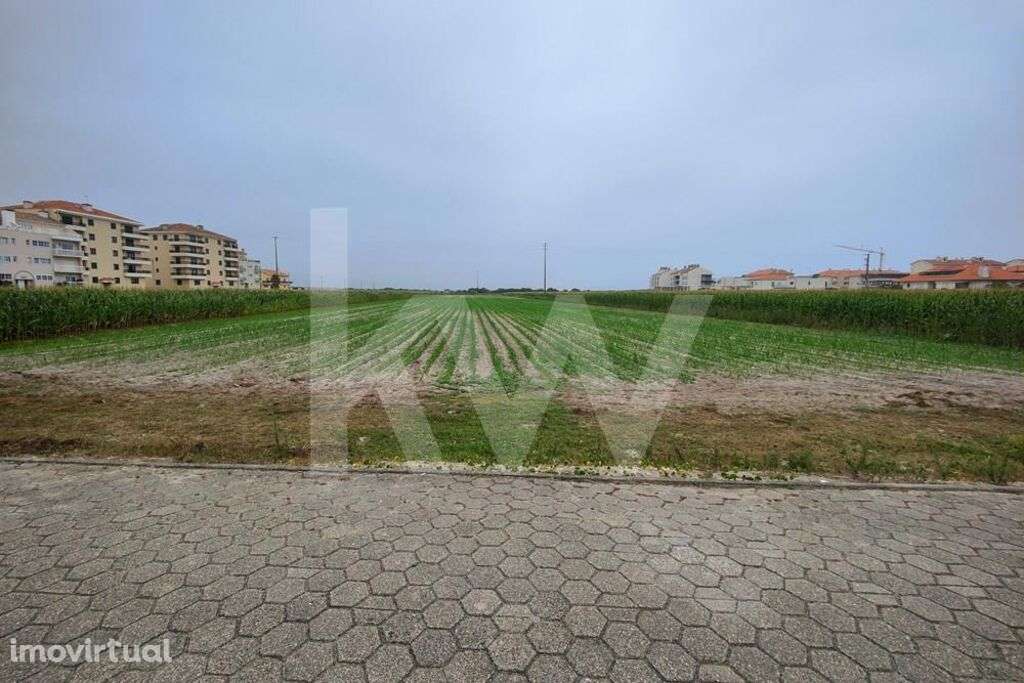 Terreno 11910 m2 localizado no centro da Praia da Vagueira, para const - Grande imagem: 3/6