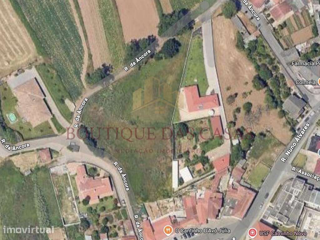 Terreno p/ Moradia Térrea - Grande imagem: 3/3