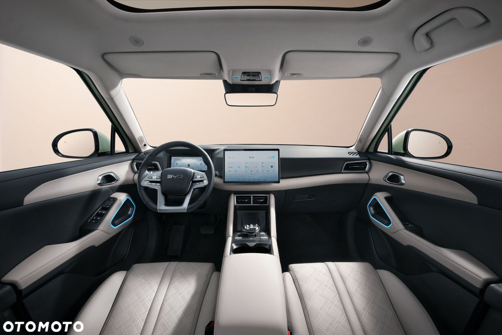 BYD Atto 2 - 12